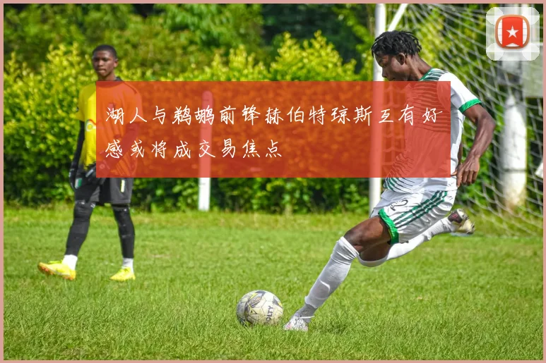 湖人与鹈鹕前锋赫伯特琼斯互有好感或将成交易焦点