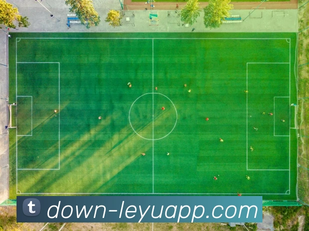 乐鱼体育APP 封面图